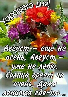 Не лето добрый