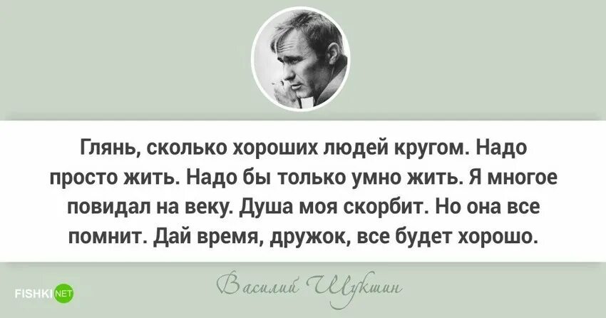 Цитаты василия шукшина. Цитаты василия шукшина. Василий шукшин высказывания о жизни. Цитаты про василия. Василий соликамский цитаты.