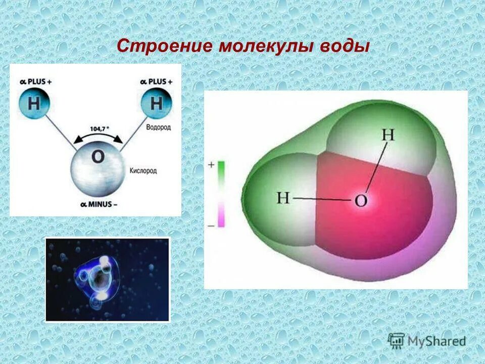 Части молекулы воды