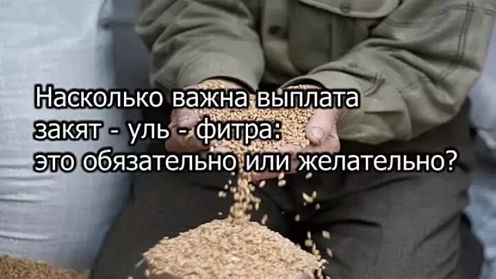 Кому нельзя давать фитру