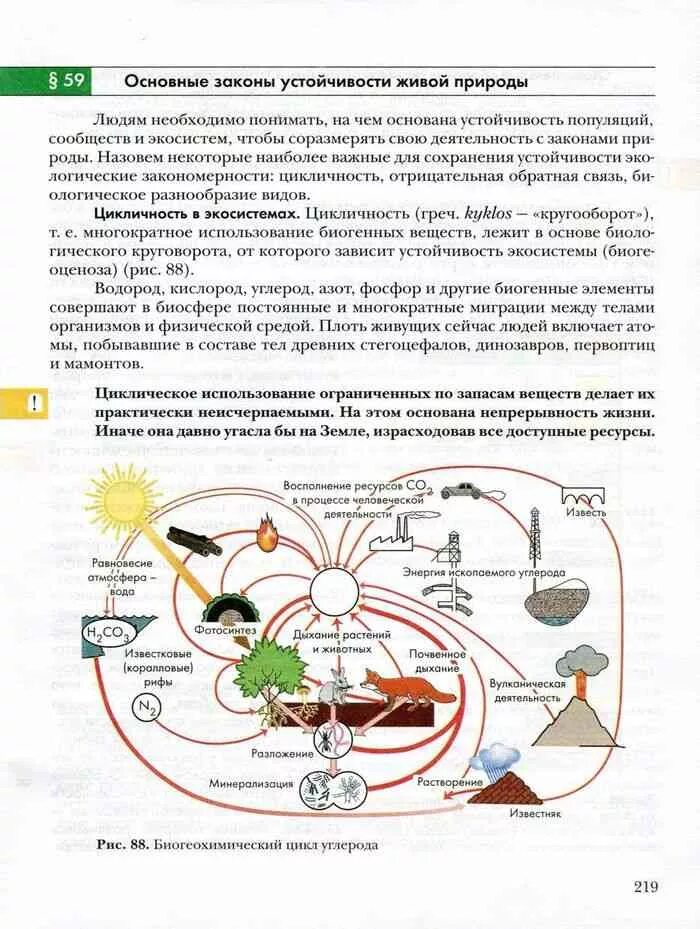 Основные законы устойчивости. Основные законы устойчивости живой природы. Основные законы устойчивости живой природы таблица. Основные закономерности устойчивости живой природы. Основные законы устойчивости живой природы 9 класс.