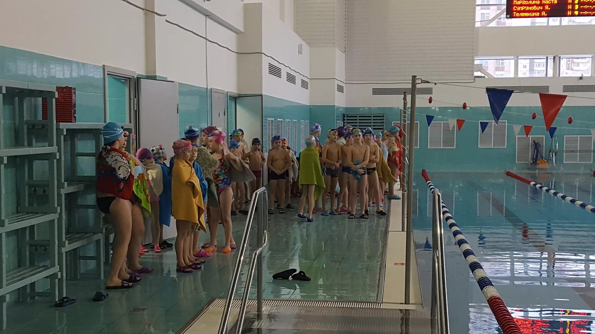 фок дельфин нахабино. фок нахабино бассейн. бассейн в фоке дзержинск. бассейн дельфин нахабино. проводится набор девочек на секцию волейбол.