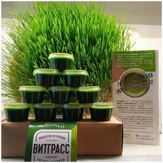 Витграсс отзывы