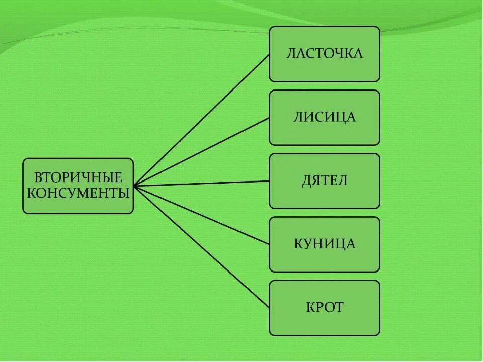 первичные и вторичные консументы. пчелы консумент. продуценты консументы редуценты луга. пчелы консумент. пчелы консумент.