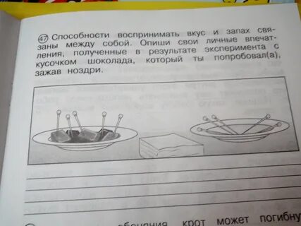 Вкус и запах связаны