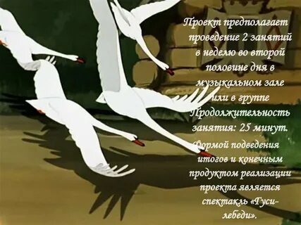 Гуси лебеди видео