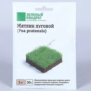 Полевица побегоносная для газона