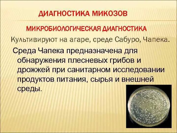 Методы лабораторной диагностики микробиология. Среда чапека микробиология. среда чапека докса. питательная среда чапека состав. микробиологическая диагностика микозов.