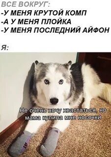 Не хочу хвастаться но я