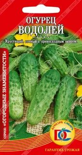 Сорт огурцов водолей