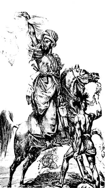 Мамлюки египта. Адыги мамлюки. Мамелюки казаки. Кипчаки мамлюки. Мамлюки 18 век.