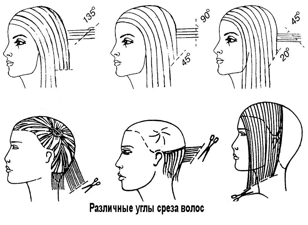 Боб каре техника. Схема стрижки градуированной стрижки. Схемы углов оттяжки при стрижки. Углы среза стрижки градуированная. Угол оттяжки 45 градусов схема.