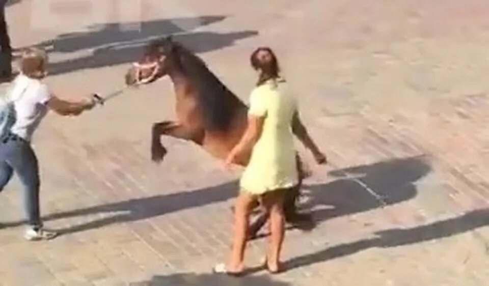 Наказание женщины конем видео. Horse jumping fence. Наказание женщины конем видео. Деревянная лошадь пытки. Наказание женщины конем видео.