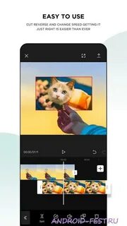 Capcat для компьютера