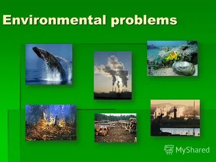 Environment and environmental problems