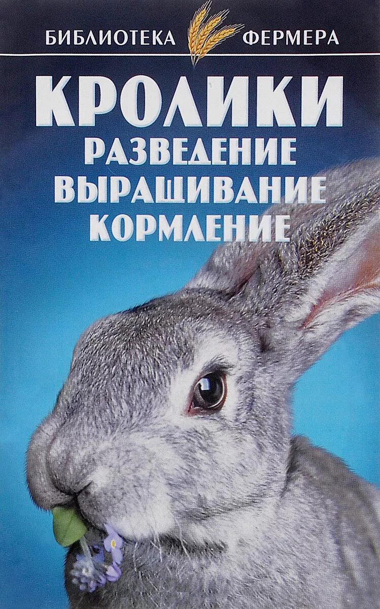 Книга кролика купить. Кролик с книгой. Кролиководство книга. Разведение кроликов книга. Книга по разведению кроликов.