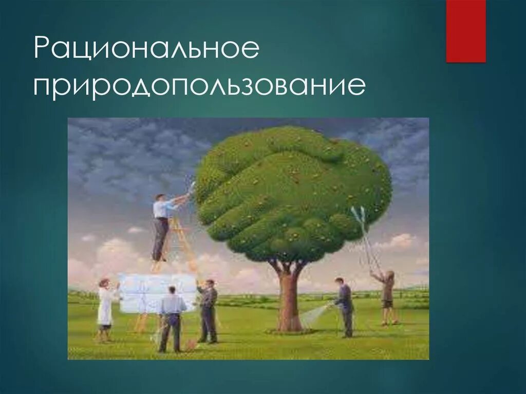 Рациональноеприродопользлвание. Рациональное природопользование. Рационпльноеприродо использования. Рациональноприродо пользование. Рациональное и нерациональное использование