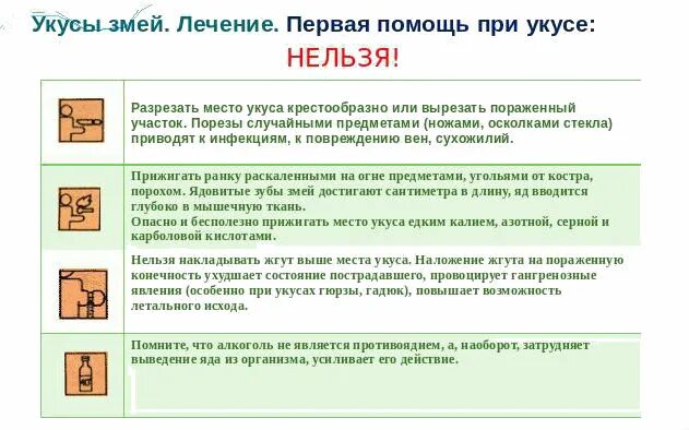 Первая помощь при укусе медузы. При оказании первой медицинской помощи при укусе змеи. 1 помощь при укусе ядовитой змеи. 1 помощь пострадавшему при укусе змеи. алгоритм оказания первой помощи при укусах змей.