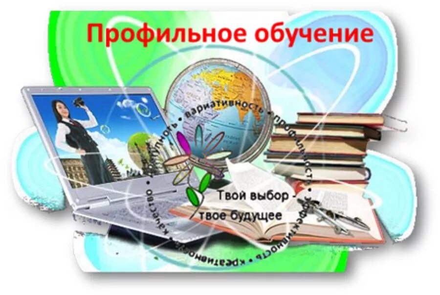 Профильного курса информатики