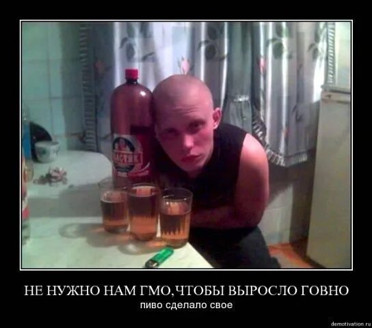 Толстый лысый алкоголик. Лысый алкаш. Лысый алкаш. Лысый алкаш. Павел васильевич про бомжей.