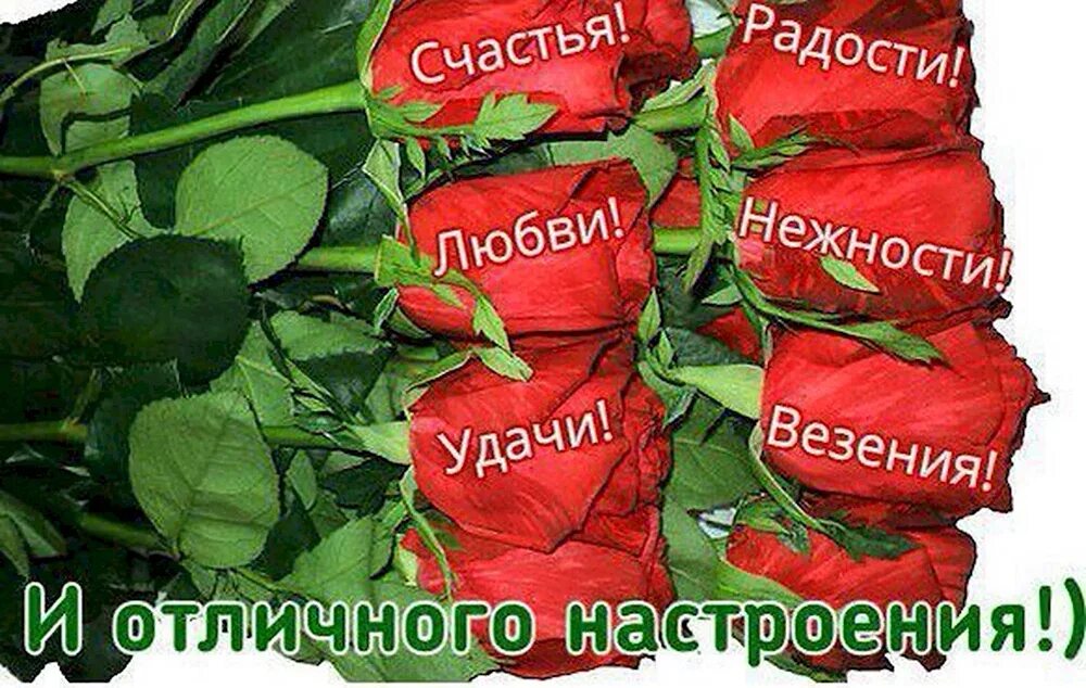 Счастья здоровья удачи картинки с надписями. Открытки с пожеланиями счастья и любви. Здоровья счастья благополучия. Счастья здоровья удачи картинки с надписями. Мешочек удачи.