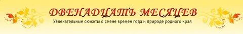 Телефон магазина 12 месяцев