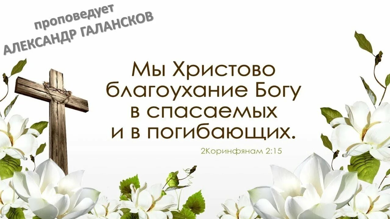 Первое послание к коринфянам. Благоухание христово библия. Второе коринфянам слушать. Второе коринфянам слушать. 1 коринфянам 6:20.
