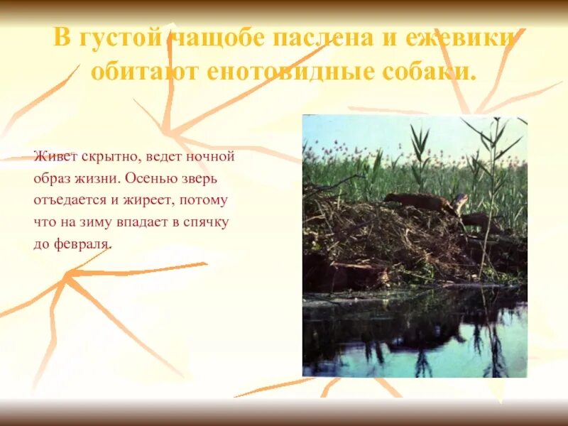 Я могла бы тебя долго ждать стих. Чащоба. Стихи удмуртских поэтов. Ковыляй потихонечку слова. Я могу тебя долго ждать долго-долго и верно-верно стих.