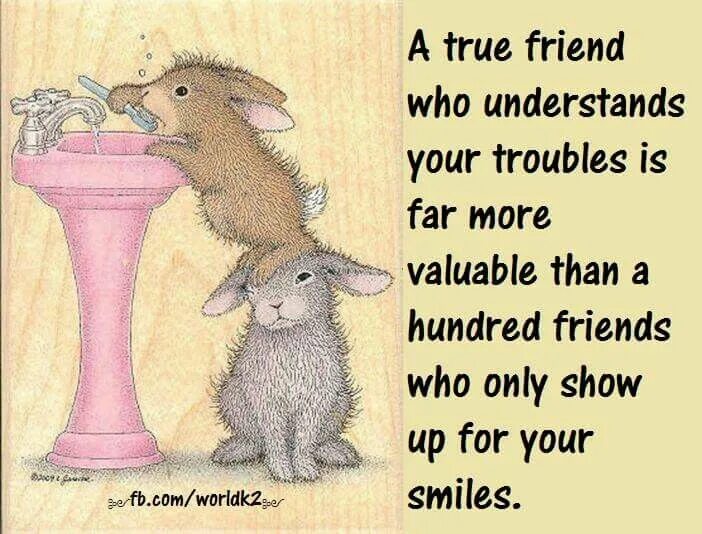 Your true friend