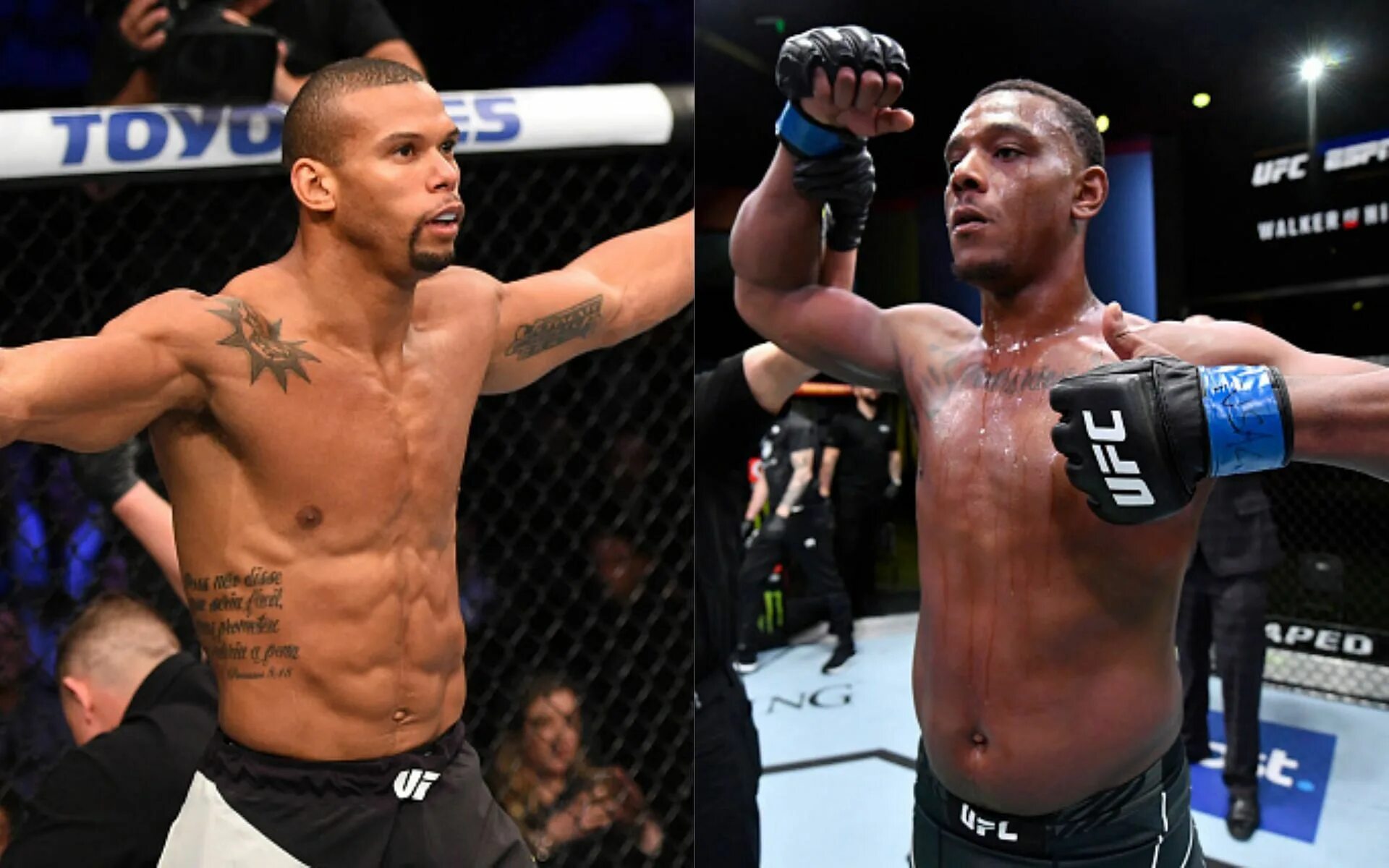 Йоэль ромеро тиаго сантос. Кевин джексон ufc. Сантос юфс. Сантос боец юфс. Тиаго сантос.