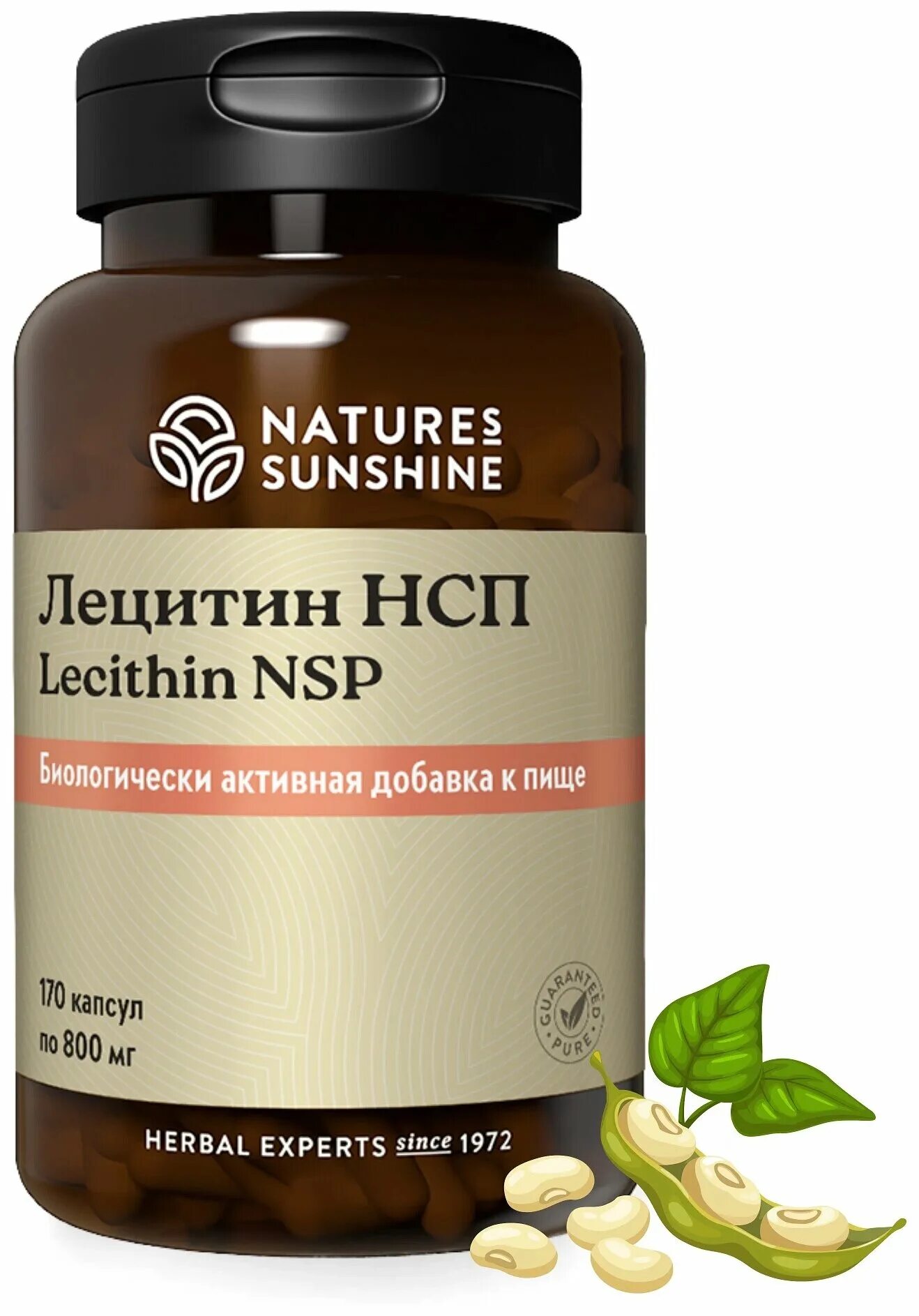 Лецитин нсп капсулы для детей. Лицетал лицетин. Nsp   капсулы лецитин. Лецитин nsp купить. Лецитин форте доппельгерц 1200.