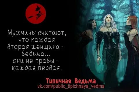 Темным ведьмам замуж чай не предлагать