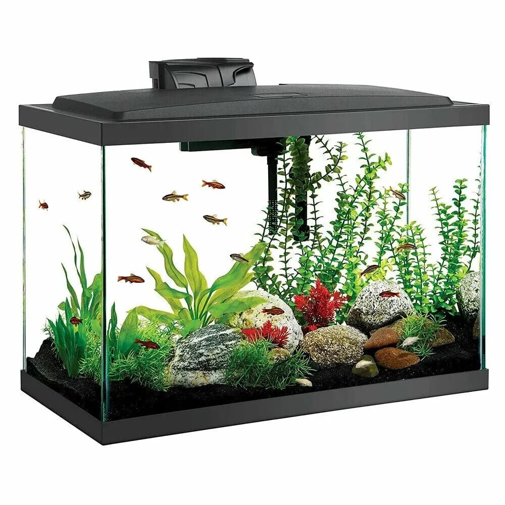 На столе стоит аквариум. Аквариум 3 tank kit. аквариум nano trapezium glass aquarium kit. аквариум спереди. fish tank аквариум.