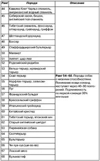 Собаки по уму
