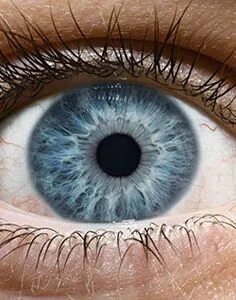 Eyes education