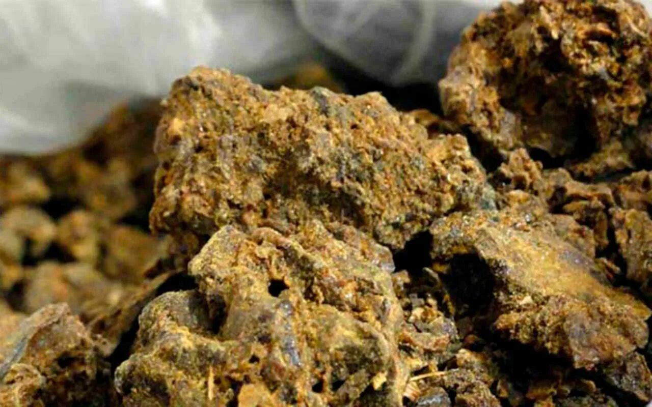 Прополис пчелиный. Чистый прополис пчелиный. Фото прополиса пчелиного. Прополис. Прополис форум.