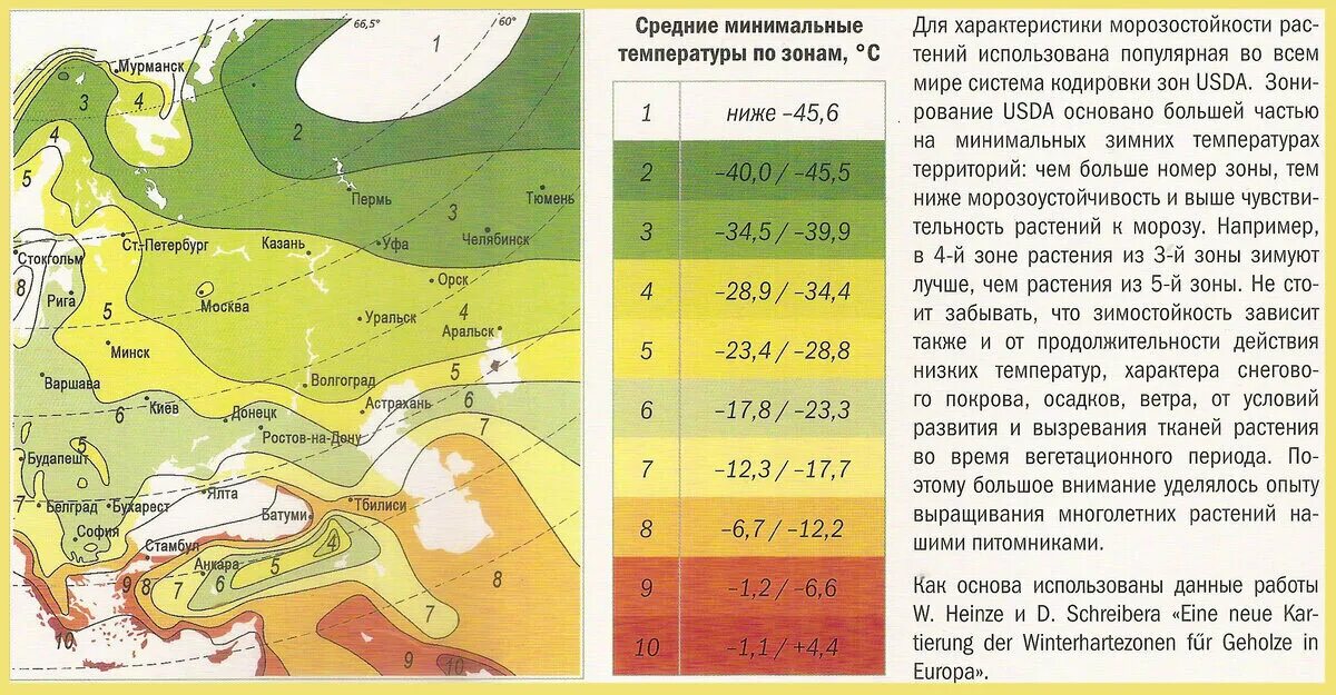 В какой зоне расположена московская область. Зоны зимостойкости растений России по областям. Карта зон зимостойкости России. Климатическая зона 4 в России для растений. 4 Зона морозостойкости в России.