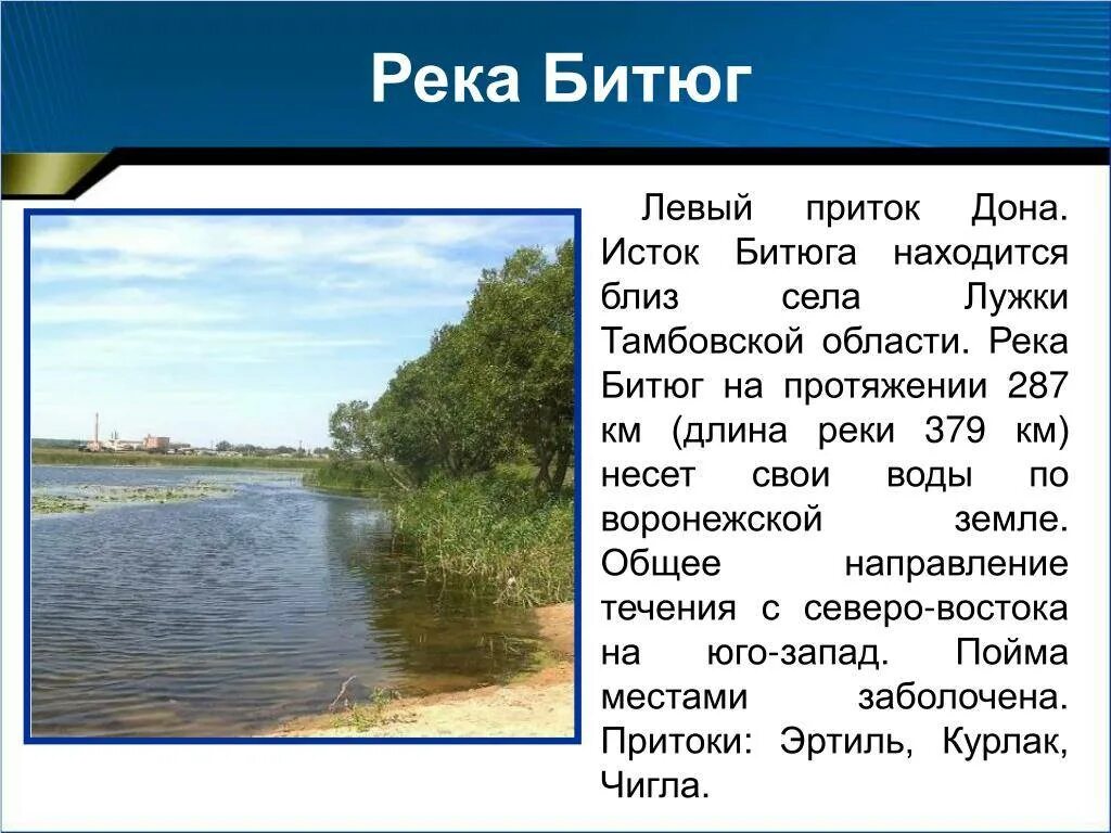 Притоки реки Битюг. Исток реки Битюг Воронежской области. Река Битюг Тамбовская область. Река Воронеж Исток реки. Приток групп