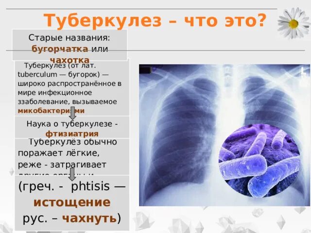 Старый туберкулез. Старые названия туберкулеза. Старое название туберкулеза. Бугорчатка это туберкулез.