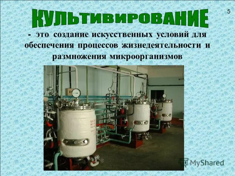 Метод создания искусственных условий. Метод создания искусственных условий. Метод создания искусственных условий. Методика формирования понятий. Лабораторные методы экологии.