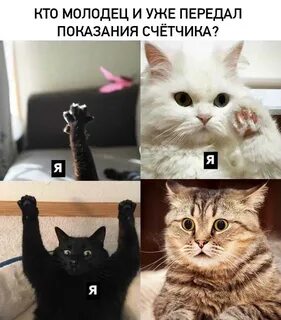 Пора передавать