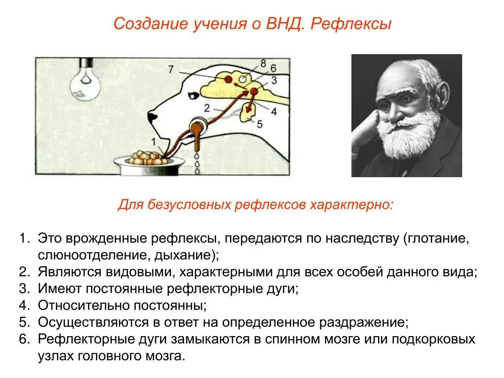 Врожденными рефлексами человека является. Биология 8 класс Высшая нервная деятельность рефлексы. Высшая нервная деятельность рефлексы схема. Учение Сеченова и Павлова о высшей нервной деятельности. ВНД рефлексы биология 8 класс.