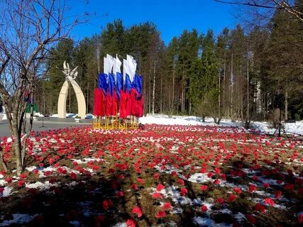 День костомукши