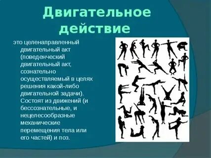 Перечислите двигательные действия