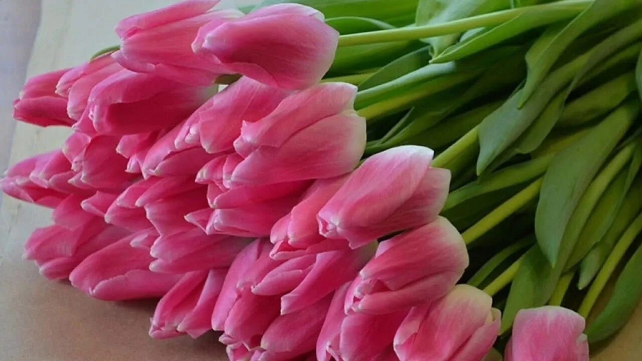 С днем рождения женщине ниночке. Розовые тюльпаны. С днём рождения тюльпаны.