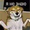 Не знаю собака