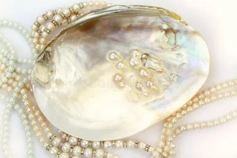 Pearls kingdom