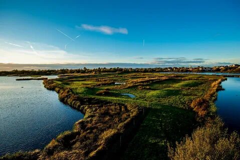 Wetlands