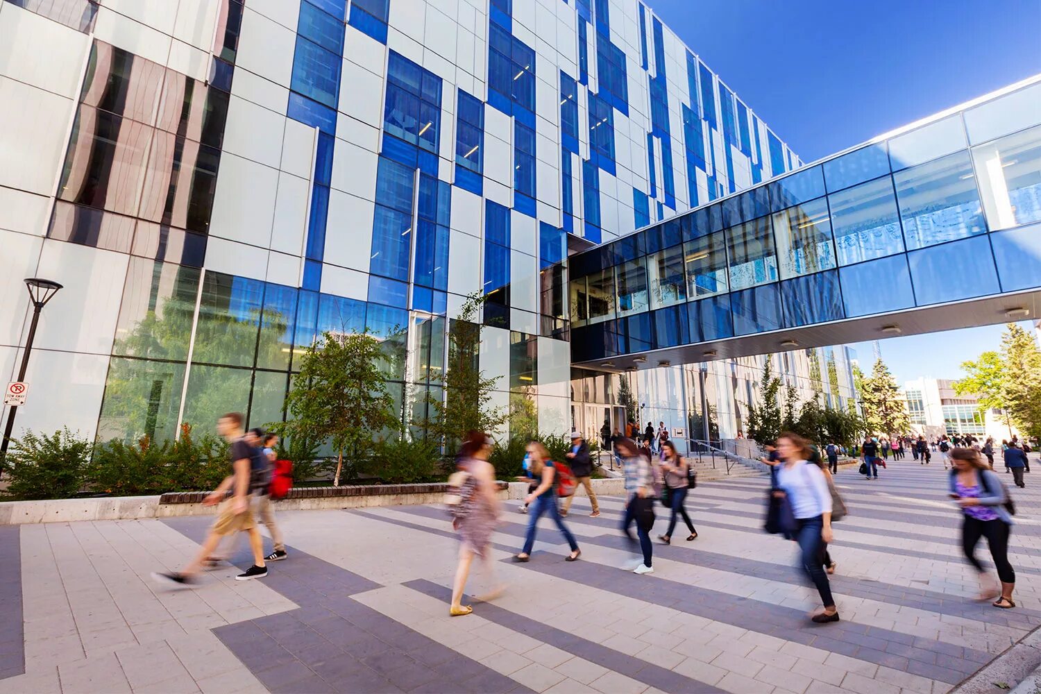 University in the future