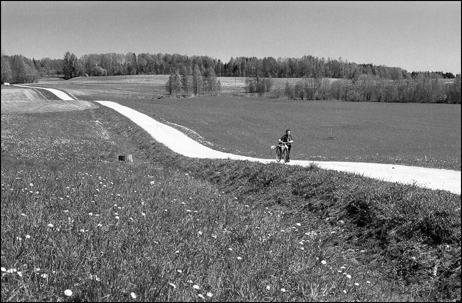 Максим дорога автор. Мартин хайдеггер проселок. Рымарево старые фото. Путь -дорога перфильева. Дорога писатель.